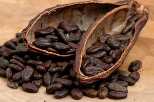 В чем польза плодов какао