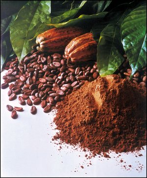 Родина бобов какао и их польза для здоровья