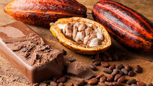 Где используется какао бобы
