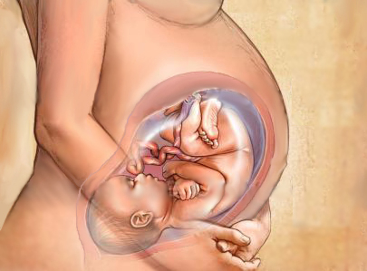 Малыш на 35 неделе беременности