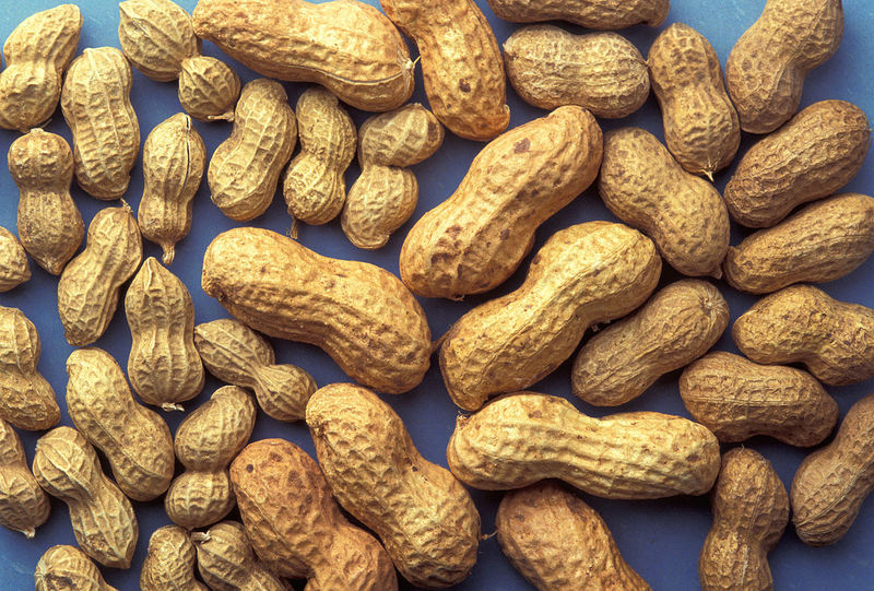 Арахис орехи польза и вред