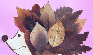 Аппликация из осенних листьев 